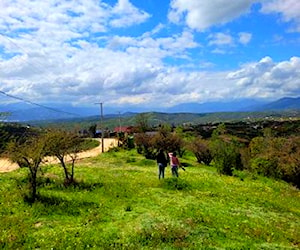 Hermosa parcela con bosque y vista