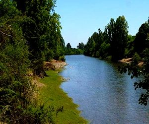 Terreno 22,7ha. con acceso a río. Cauquenes, VIIR