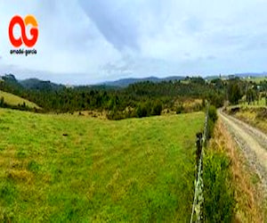 Parcelas en los muermos tambor alto - puerto montt