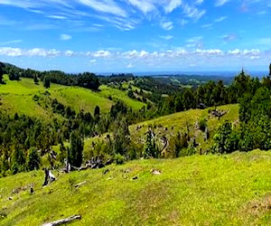 Campito De 8,6 Hectáreas Con Hermosa Vista