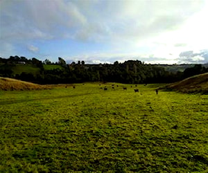 AGRICOLA Curaco de velez, chiloe Curaco de Vélez