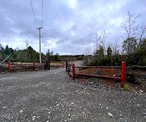 Parcela Nativo Chiloé - Chonchi