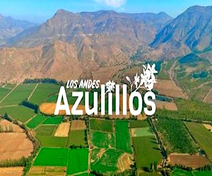 Terrenos agrícolas en Los Andes 3
