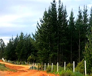 PARCELA LAS GARZAS&PAILIMO Pichilemu