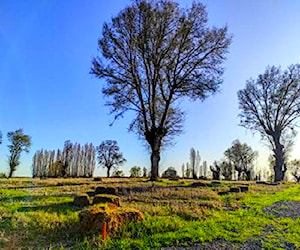 Parcelas Con Rol Chillán - El Carmen