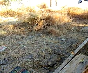 Se arrienda terreno para bodega o vivir