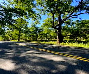 Parcela 7000M2 orilla carretera Termas de Chillán