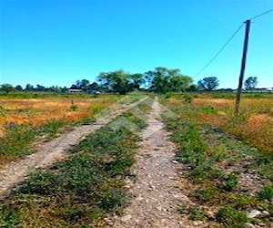 AGRICOLA Camino La Palmilla Cruce Casa Blanca Nort