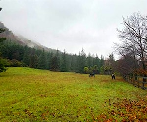 Precioso campo "Pozones de Malcho"