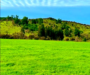 Hermosas parcelas en hualañé sector los coipos