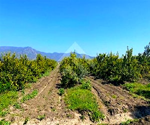 CASA Chiñigue Las Rosas El Monte 101379560