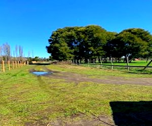 Venta de gran terreno industrial en Cabrero