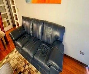 Sofa de cuero rosen y sitiales