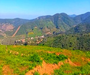 Sitio/Terreno Quebrada del Ají Quillota