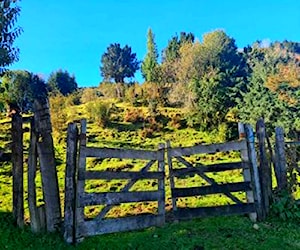 Se vende terreno de 45 hectareas - comuna de aysen