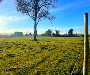 Parcela 5000 mt2 huichahue - temuco