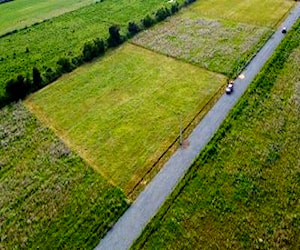 Terrenos de 5.000 M2 en Las Brisas de Mariposas