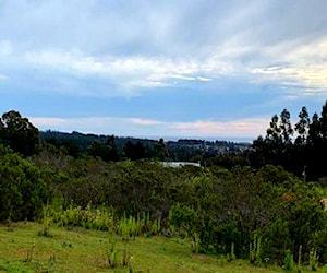 ¡Oportunidad Parcela con pozo y vista Algarrobo