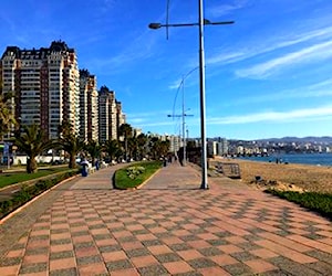 Viña excelente depto primera linea frente al mar