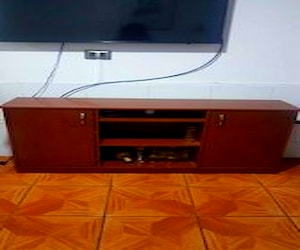 Electrodomesticos y muebles por traslado