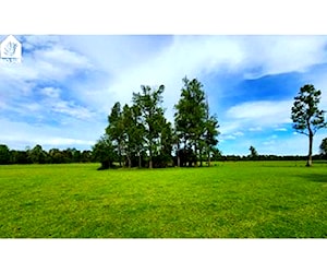 SITIO T-75 - Los Chilcos - Los Ríos Lago Ranco