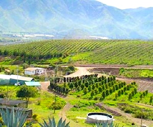 TERRENO CONSTRUCCION Valle Del Elqui Vicuña