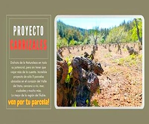 Parcelas sector Carrizales