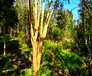 Terreno en Bahía Mansa