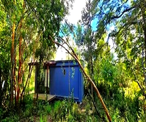 Mini casa, en medio del bosque. Tiny Forest