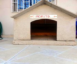 <p>Casa para Perro Grande</p>