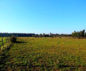 Hermosas parcelas de agrado sector Yerbas Buenas