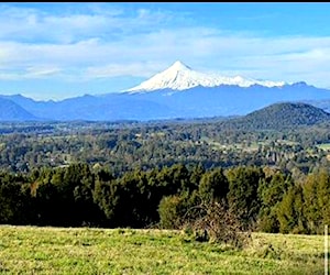 Parcela Agrícolas Monte Grande Exclusivo