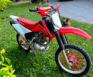 crf150f