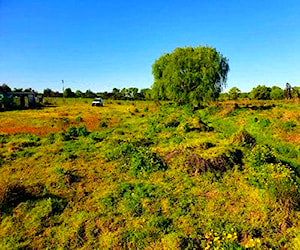 Parcela en Ex hacienda Pumanque