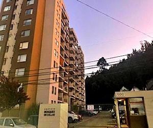 Departamento Bosques de Collao