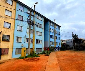 DEPARTAMENTO Forestal Viña del Mar