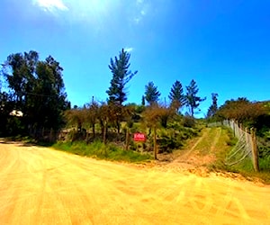 TERRENO 5.000m2 | Las Garzas - 20min .de Pichilemu