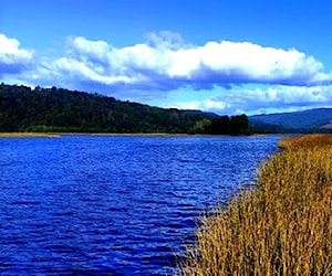 SITIO Isla Itamalal Sur de Valdivia Los Ríos Val