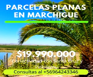 Ultimas parcelas planas en marchigue 