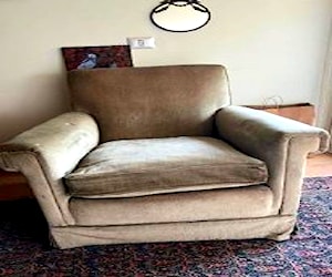 <p>Sillón antiguo de felpa</p>