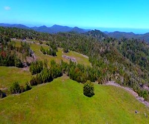 Parcela en Altos de Tehuaco - Ancud, Chiloé