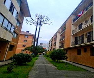 Departamento pelantaro/carrera