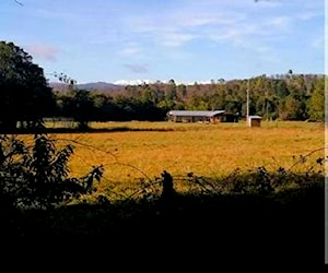 Terreno en comuna de Lago Ranco