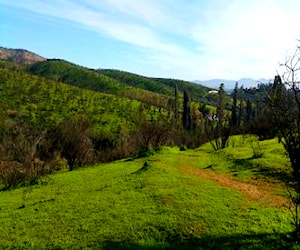 Peñablanca, Los Maitenes