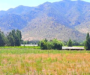 Sitio San José de los Lingues Las Rosas Libertad