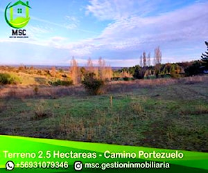 Terreno 2.5 Ha Camino Portezuelo - Ñuble