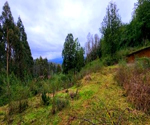 Parcela salida sur valdivia 1,5 HA