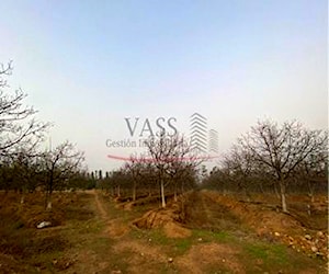 Vass Vende Terreno En Condominio, Limache