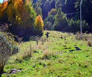 parcela urbanizada sector palguin - puco