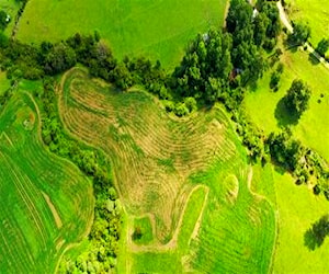 AGRICOLA Quiman Alto Futrono